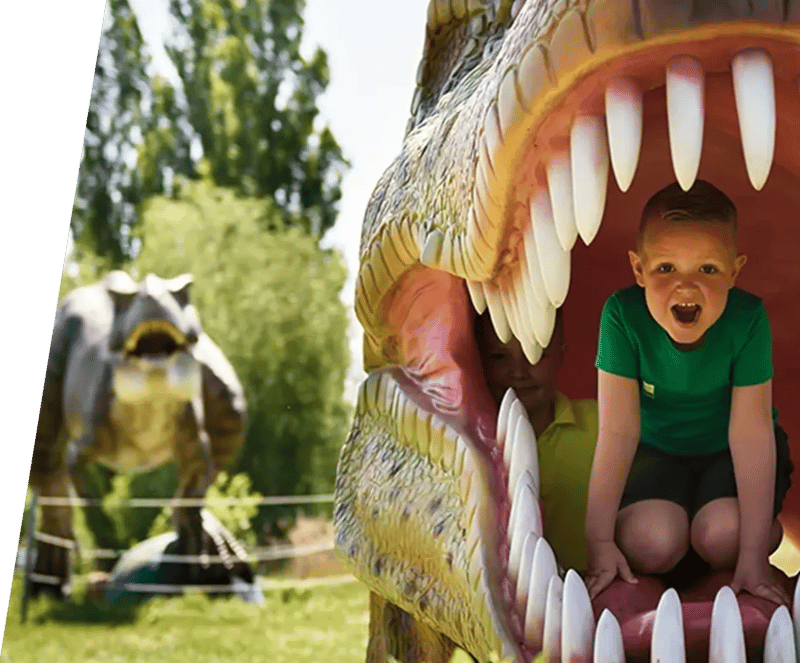 portfolio dino experience park header