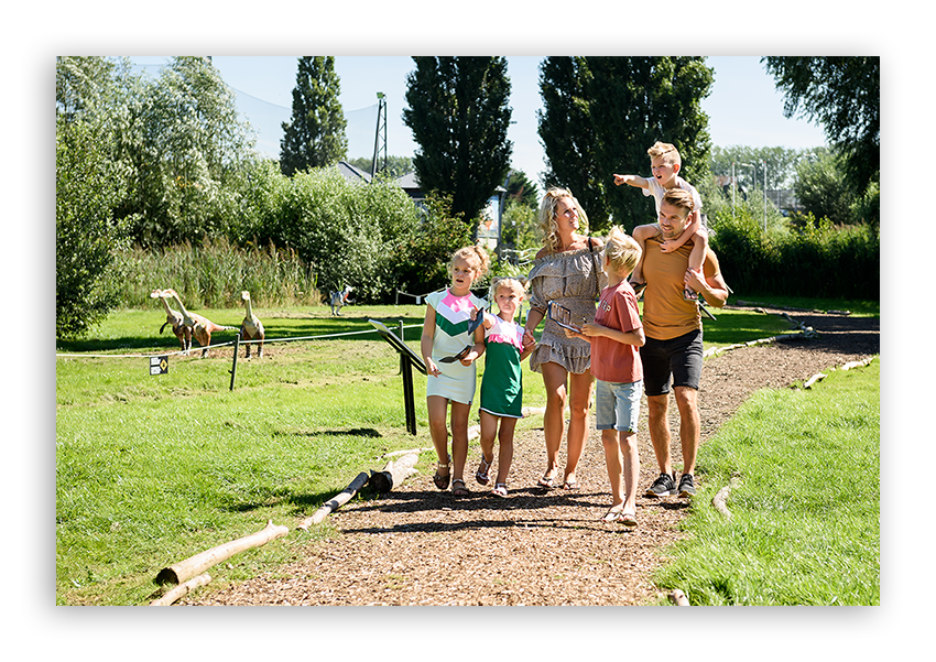 case-Dino Experience Park-afbeelding