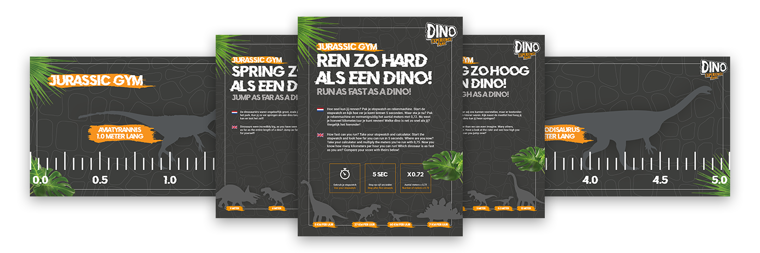 case-Dino Experience Park-borden-2