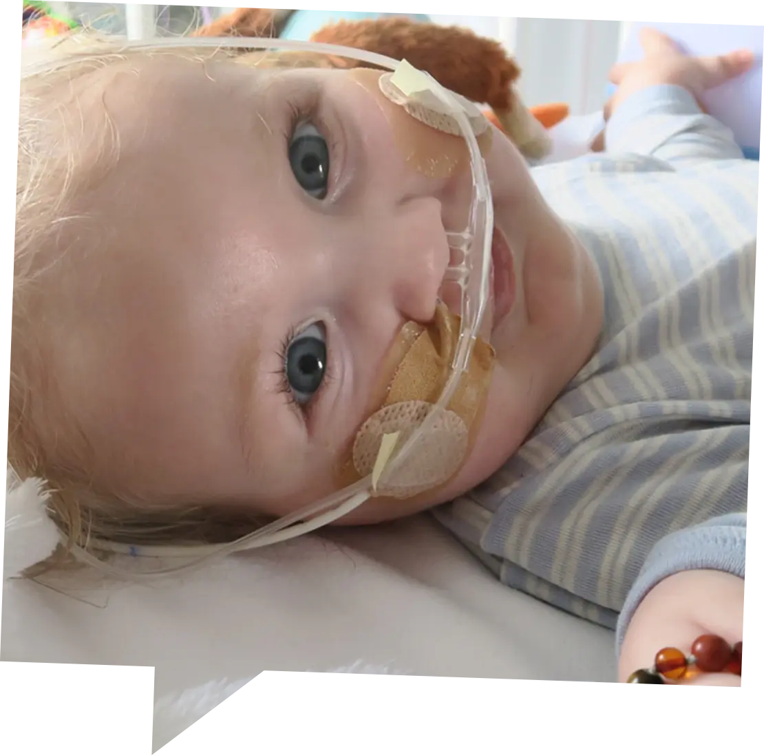 case team jayme campagnes