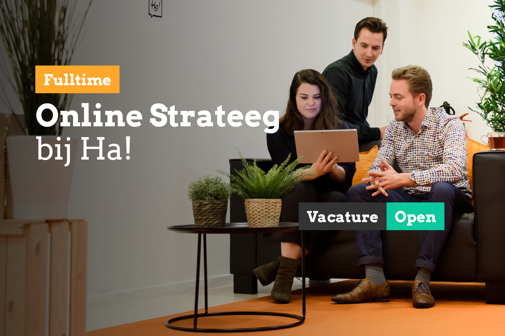 Vacature - Online Strateeg